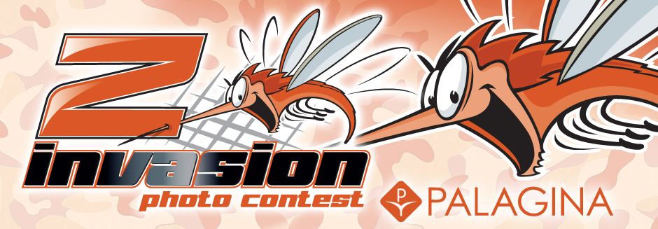 VINCI LE ZANZARIERE PER LA TUA CASA!